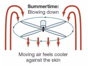 ceiling fan direction in summer