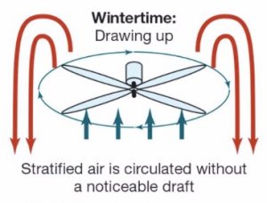 ceiling fan direction in winter